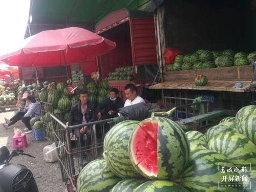 小良湖州吃瓜群众,吃瓜群众的欢乐盛宴