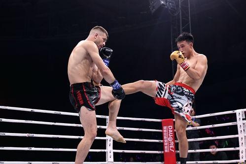 人像腾讯新闻武林风爆料,人像领域新动态，腾讯新闻带你探秘