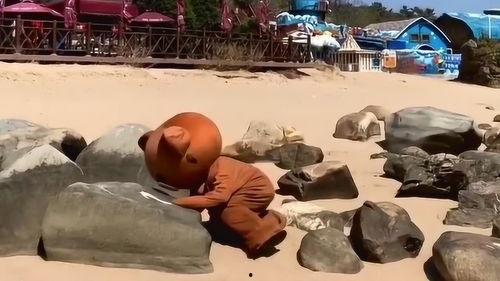 网红熊在海边晒太阳,阳光沙滩成焦点