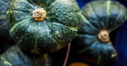 吃瓜猛鹅吃瓜真的假的,揭秘网络热传事件真相