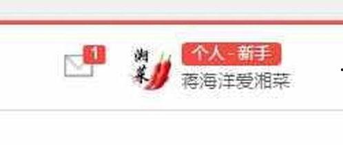 与上海有关的头条号,最新头条聚焦城市动态