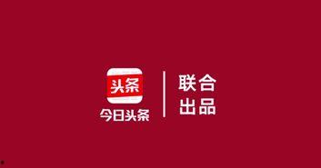 雷州农村今日头条视频,聚焦乡村发展新动态