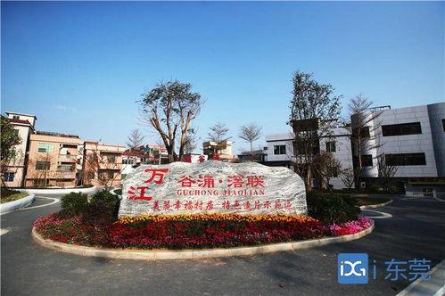 万江网红,揭秘网络红人的崛起之路