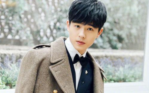 电视男明星发型,揭秘电视男明星的潮流发型秘诀