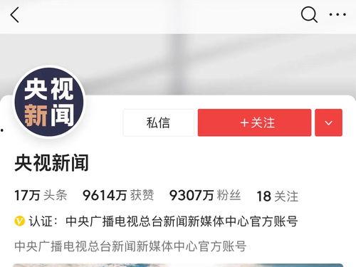 头条粉丝排名前一百,揭秘热门账号背后的秘密与影响力