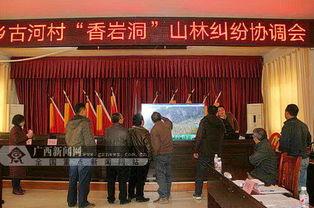 广西山林新闻头条,紧急救援行动展开