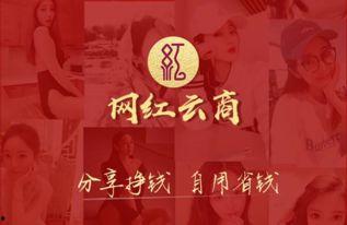 网红2019闽南语,闽南语魅力席卷网络