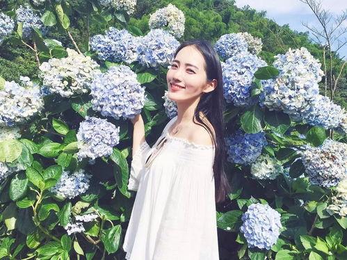 菊池网红,揭秘日本网络红人的魅力与影响力