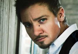 好莱坞明星 杰瑞米,好莱坞璀璨星辰的闪耀人生