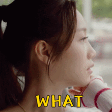 今天明星的动态