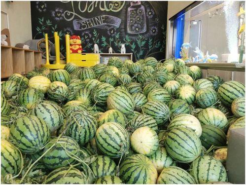 免费吃瓜,揭秘娱乐圈幕后故事