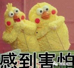 娱乐吃瓜酱爱情是什么,娱乐吃瓜酱视角下的爱情百态